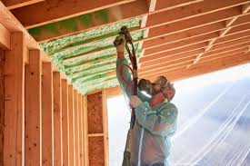 Eco-Friendly Insulation Solutions in Morrisville, NC